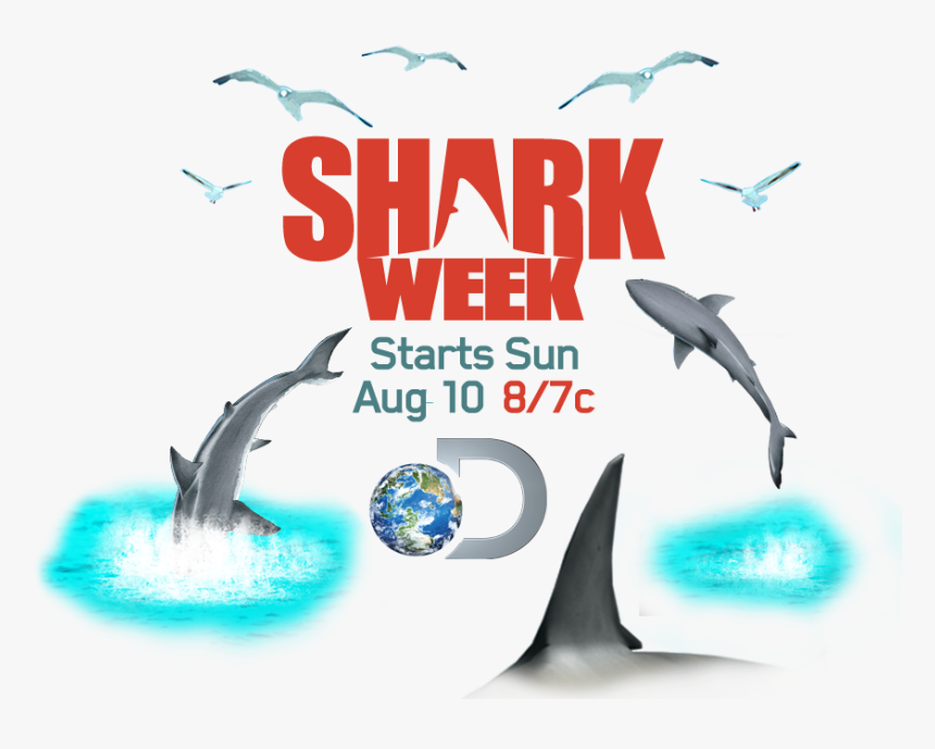 Shark Week Swedish Fish Sweepstakes Discovery Go - Discovery Shark Week Logo, HD Png Download