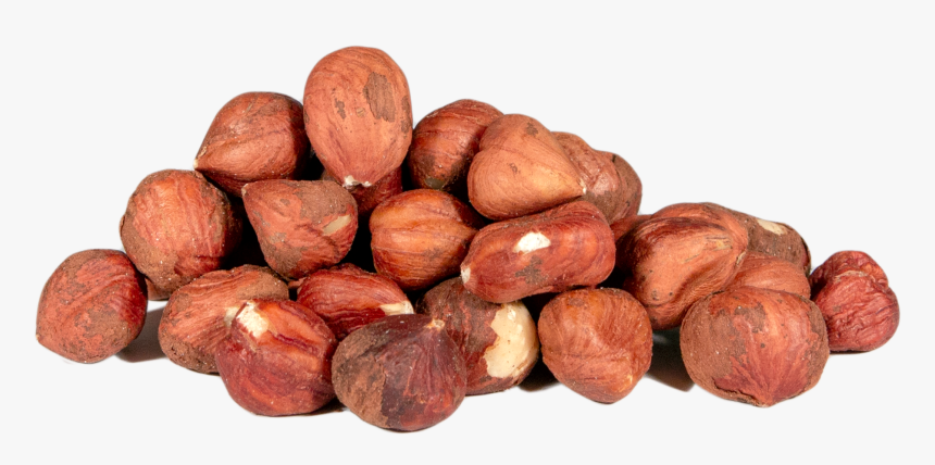 Hazelnuts, Barcelona, Whole, Raw 
 Class - Hazelnut Whole Raw, HD Png Download