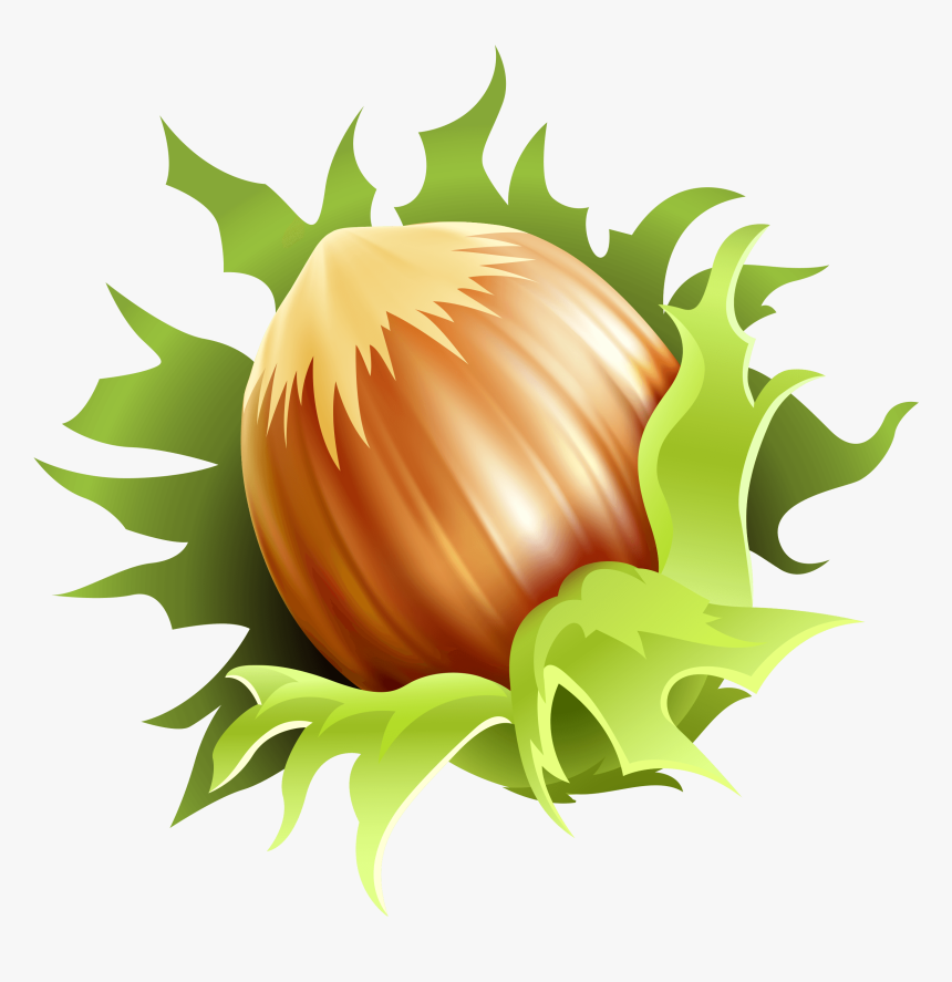 Hazelnut Png Clipart Image - Progresul Alunis, Transparent Png
