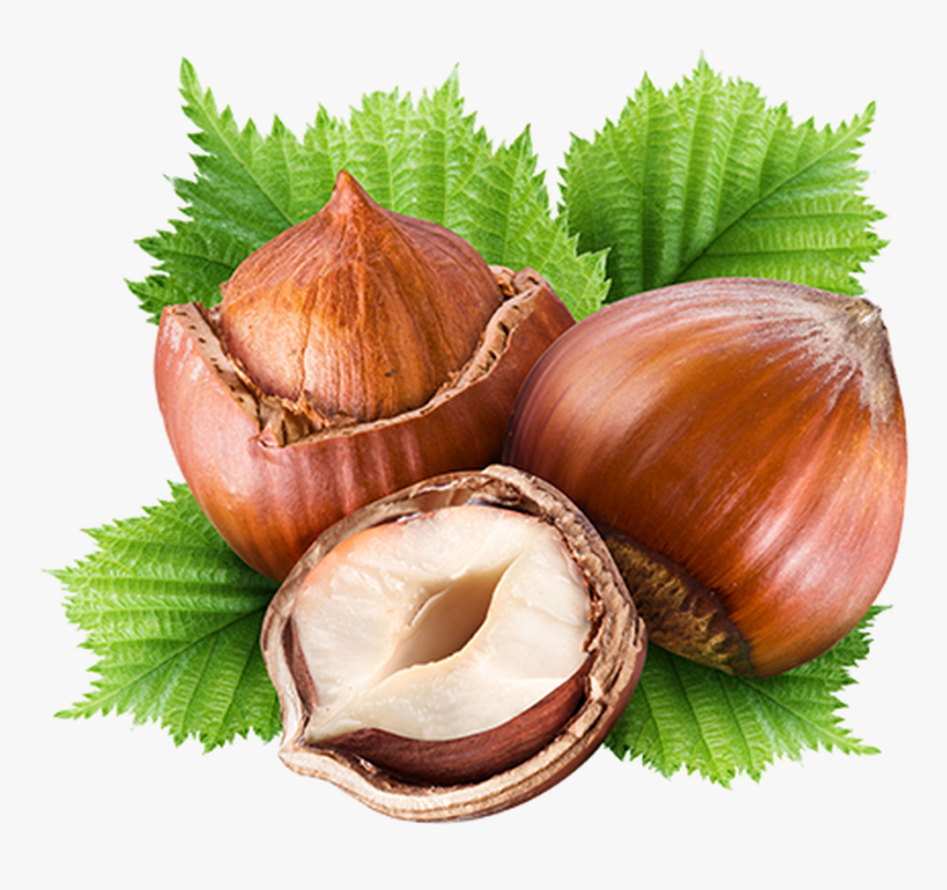 Capella Arome, HD Png Download