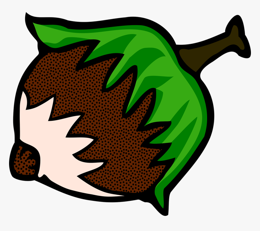 Hazelnut Clipart, HD Png Download