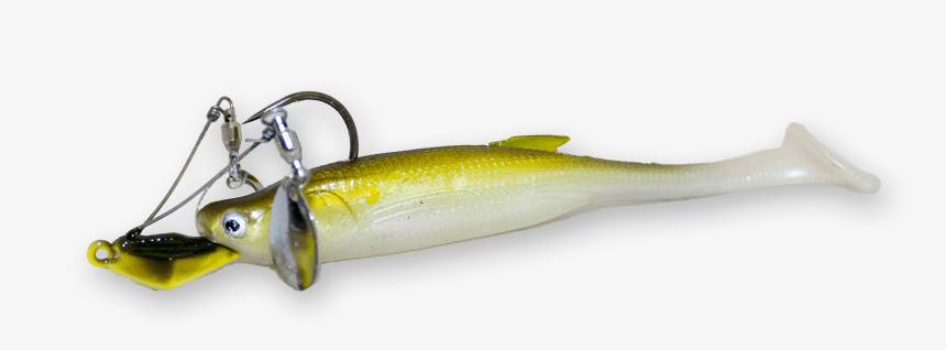 Sardine, HD Png Download