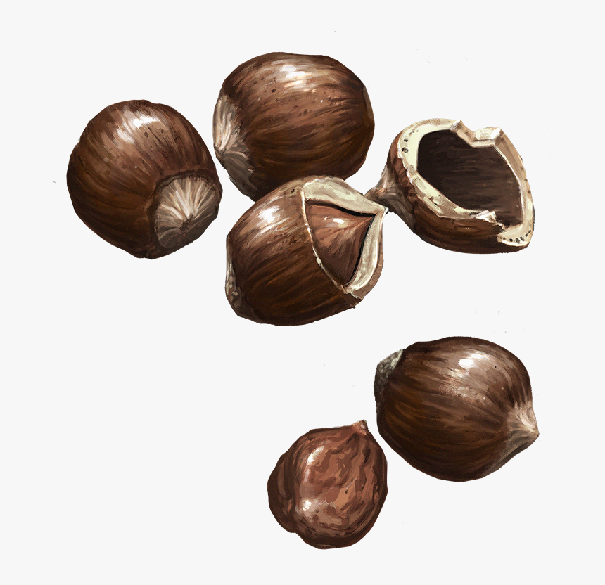Hazelnuts - Chocolate, HD Png Download