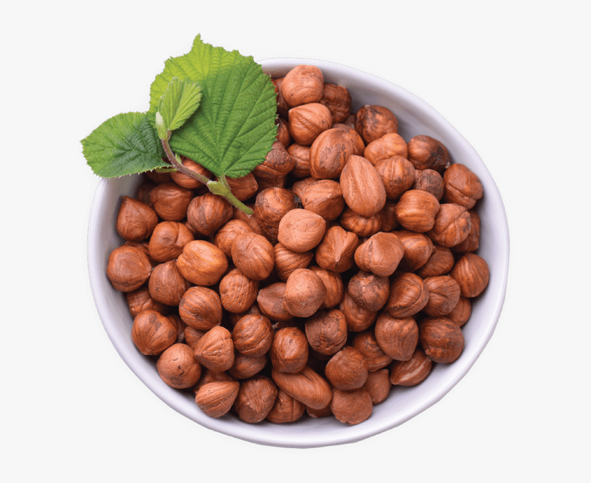 Hazelnuts Improve Older Adult’s Micronutrient Levels, - Chocolate, HD Png Download
