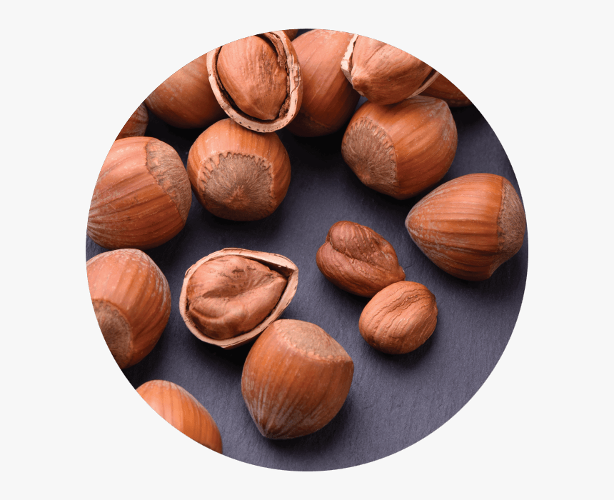 Almond, HD Png Download