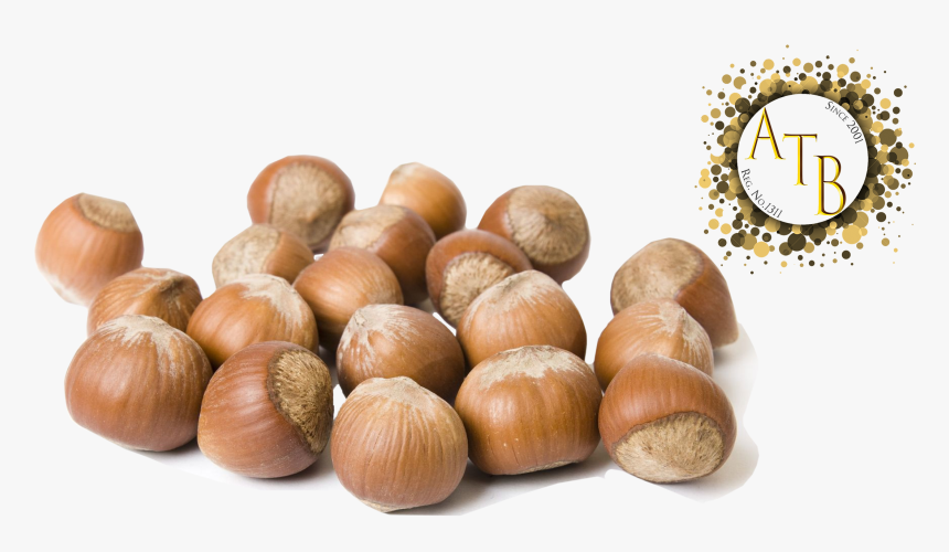 Hazelnut Png, Transparent Png