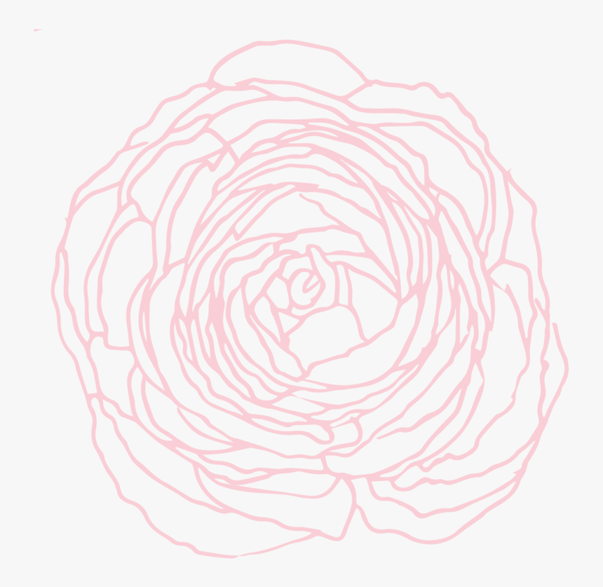 Hybrid Tea Rose, HD Png Download