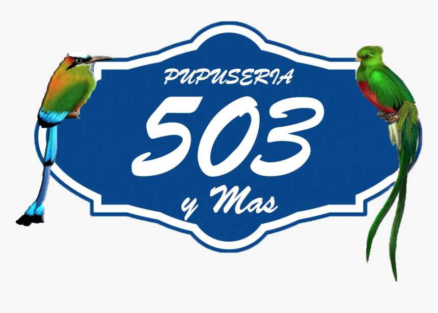 Parakeet, HD Png Download