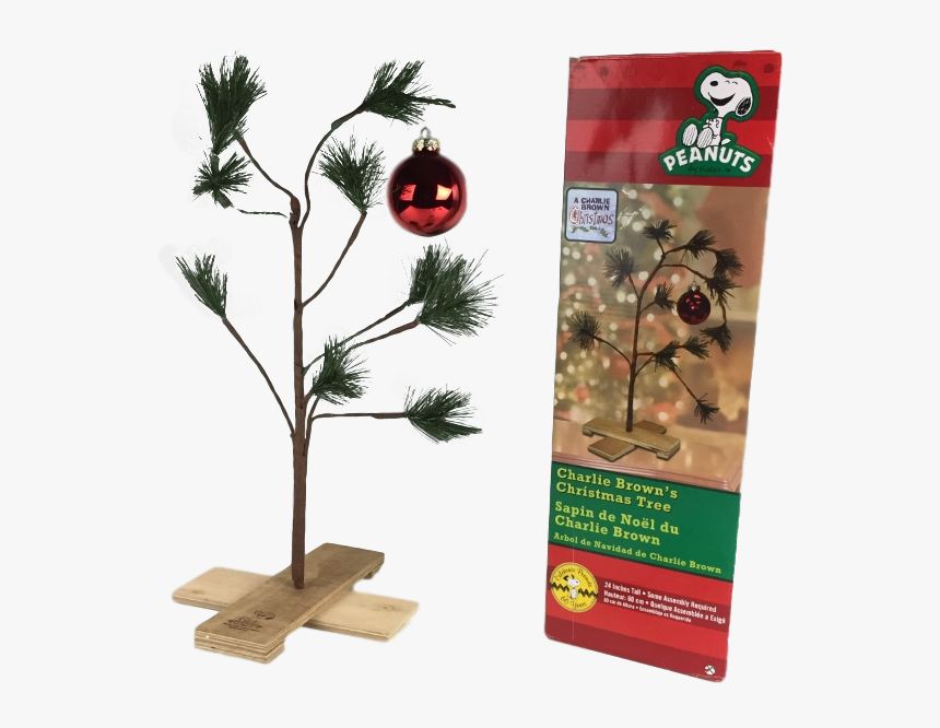 Charlie Brown Christmas Tree, HD Png Download