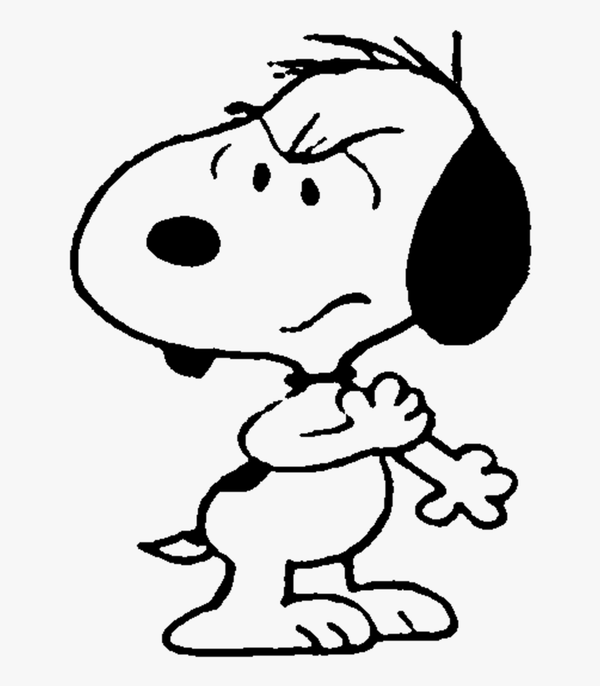 Charlie Brown Christmas Png, Transparent Png