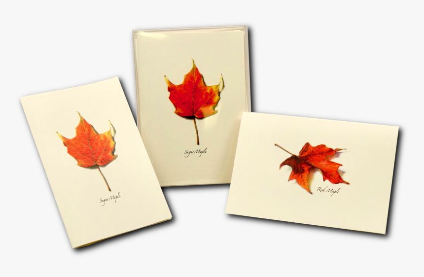 Maple Leaf, HD Png Download
