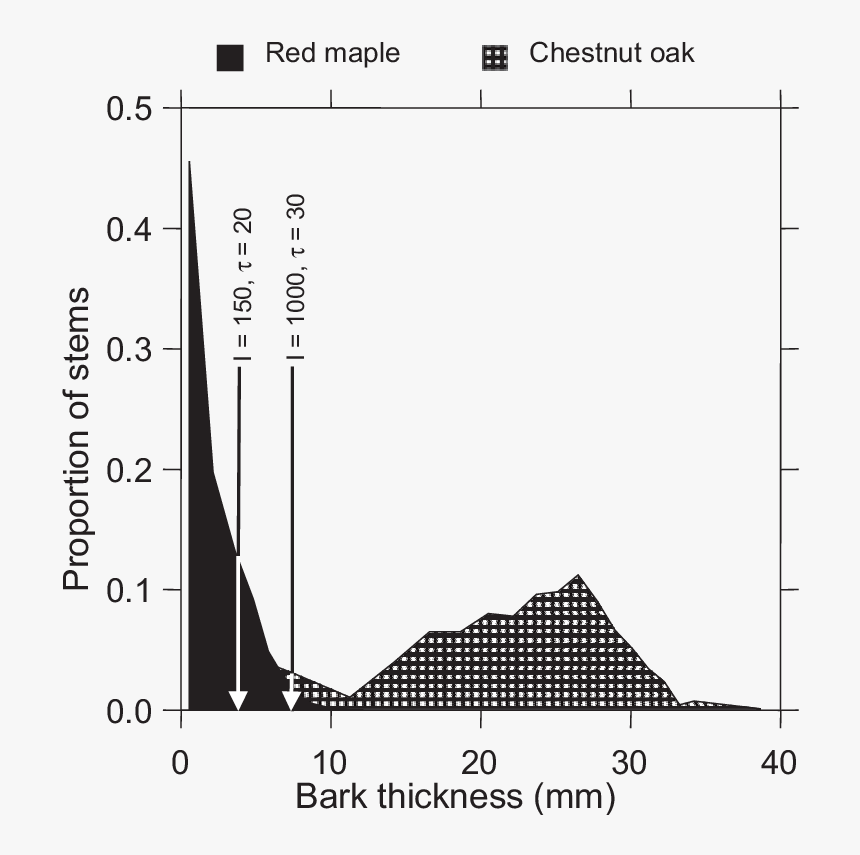 Diagram, HD Png Download