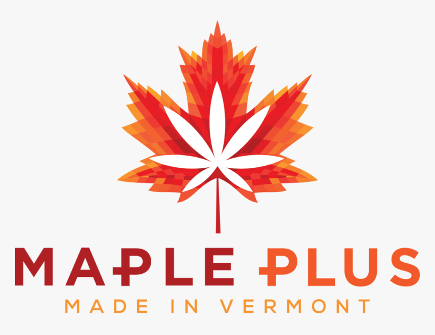 Red Maple Png, Transparent Png