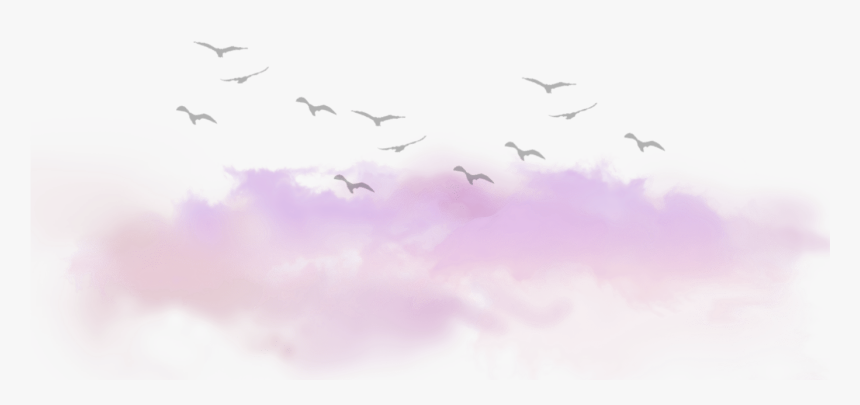 Clouds Cloud Birds Tumblr Kawaii Ftestickers - Clouds Tumblr Png, Transparent Png