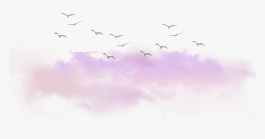 Clouds Cloud Birds Tumblr Kawaii Ftestickers - Bird Migration, HD Png Download