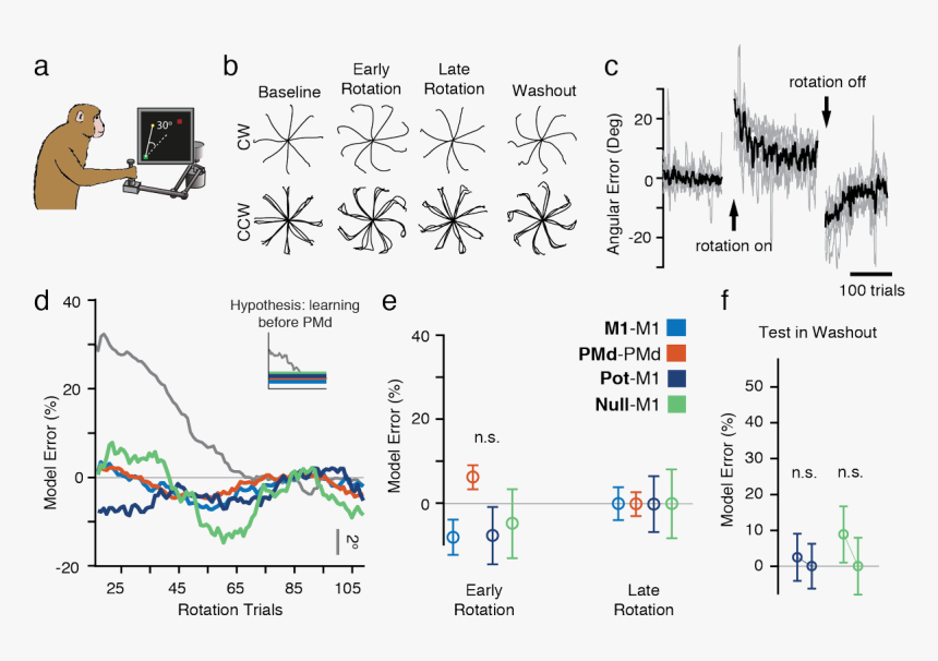 Force Field Png, Transparent Png , Transparent Png Image PNGitem