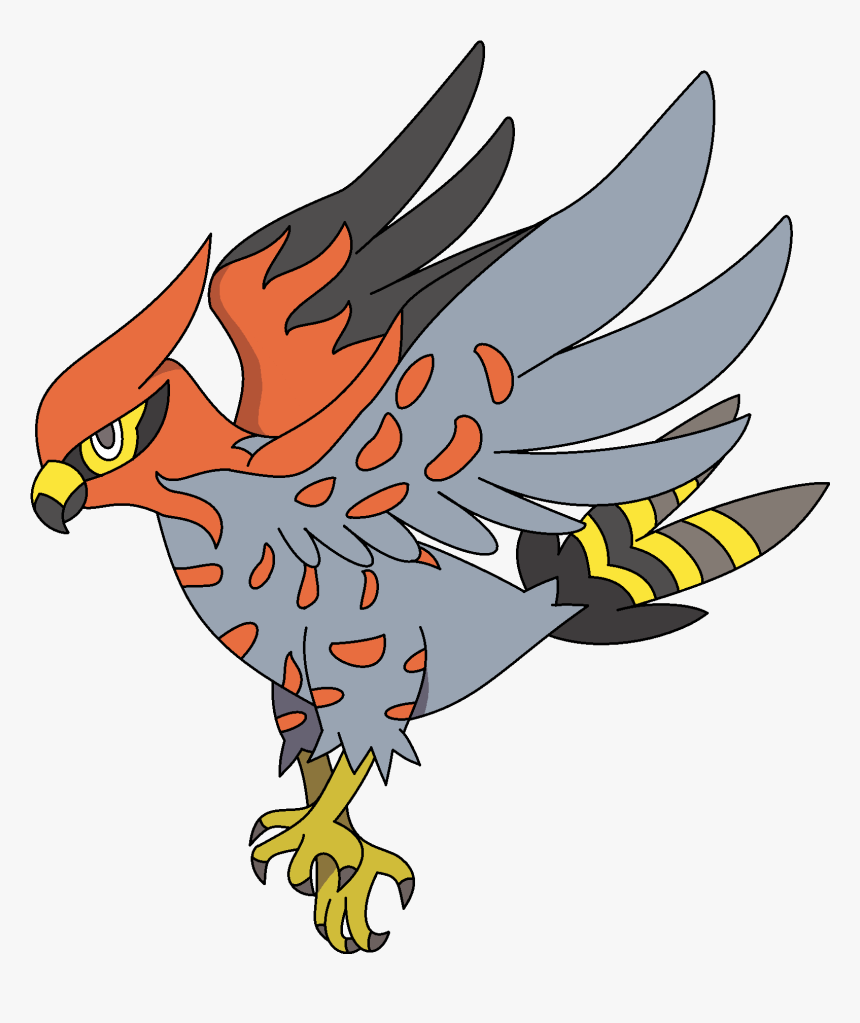 Talonflame - Eagle, HD Png Download