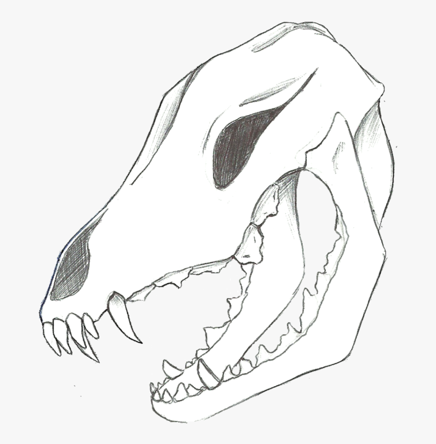 Arm Drawing Skull - Illustration, HD Png Download