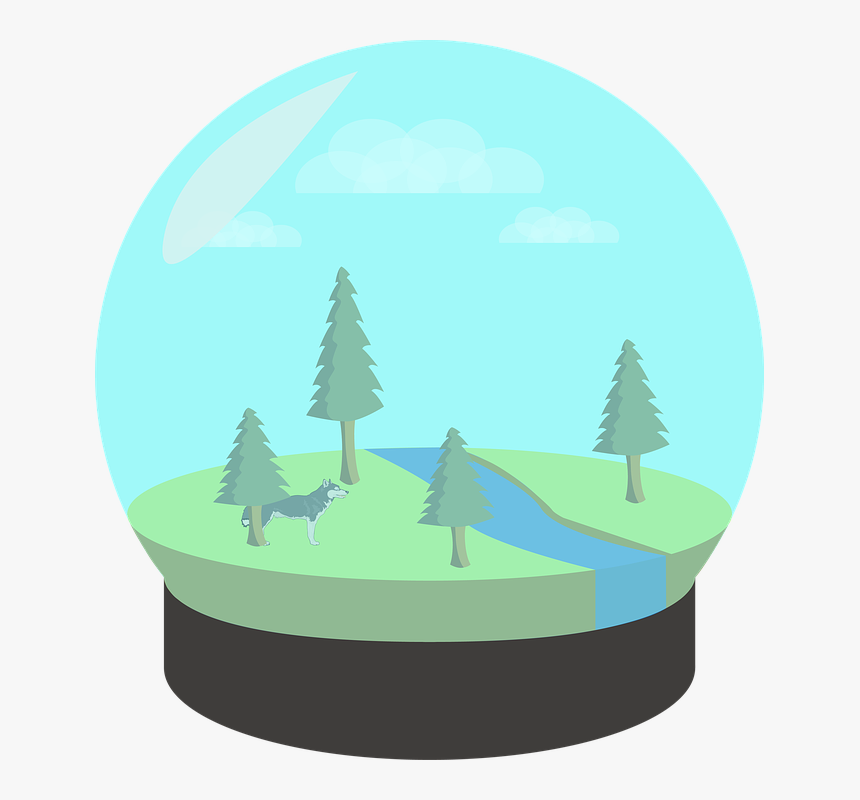 Wolf, Ecosystem, Glass Ecosystem, Ecosystem In A Glass - Ecosystem Png, Transparent Png