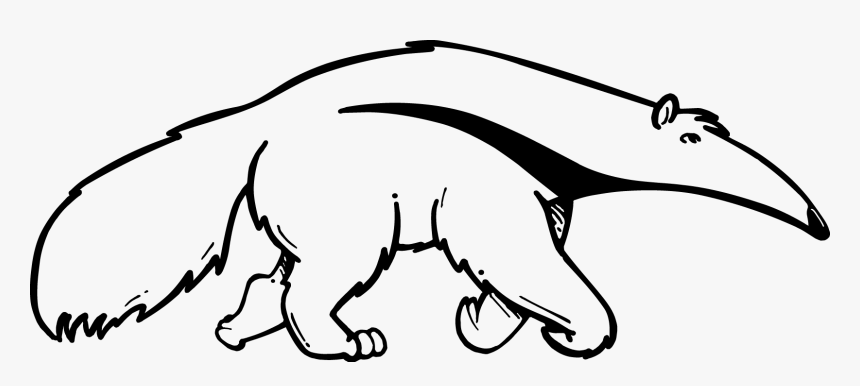 Cats Vector Cat Outline - Anteater Black And White, HD Png Download