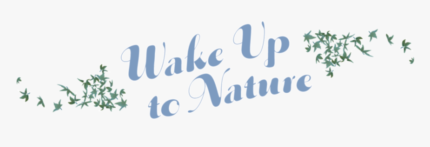 Calligraphy, HD Png Download
