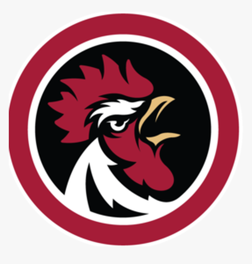 An Interview With Former Gamecock Baseball Player Drew - Logo Esport Transparent Chicken, HD Png Download