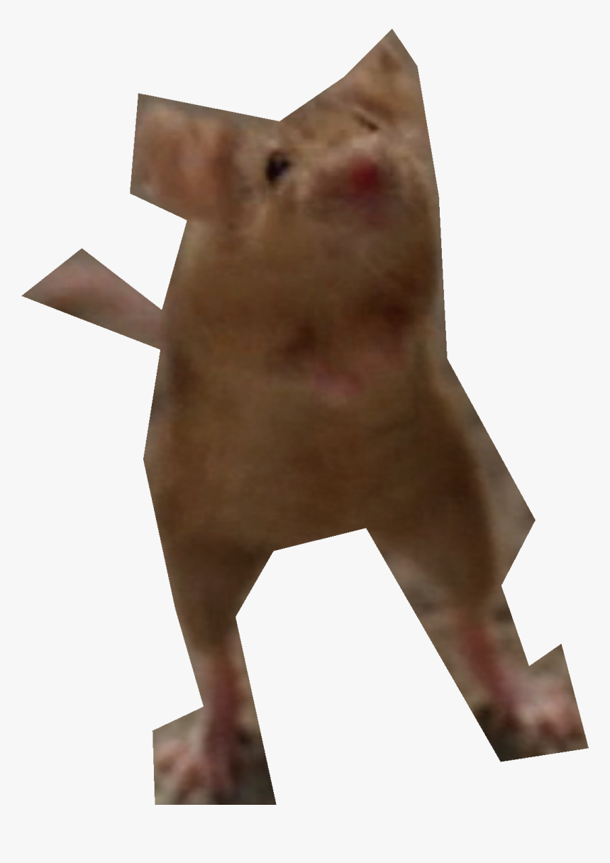 Nick Cannon Png, Transparent Png