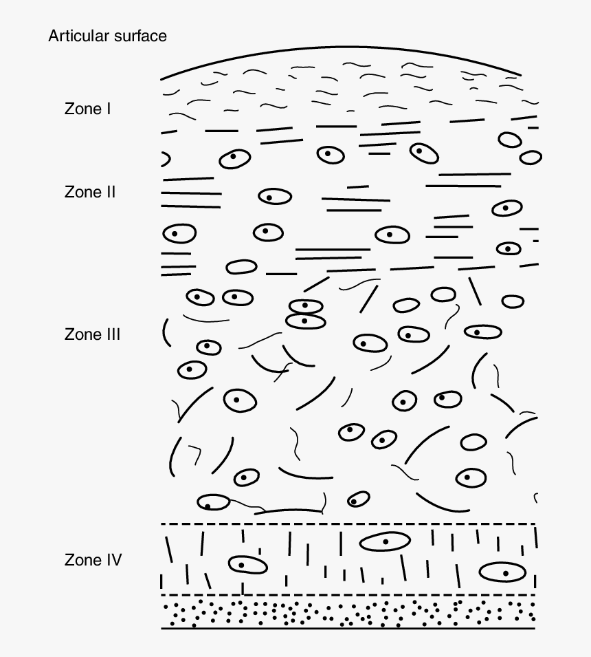 Document, HD Png Download