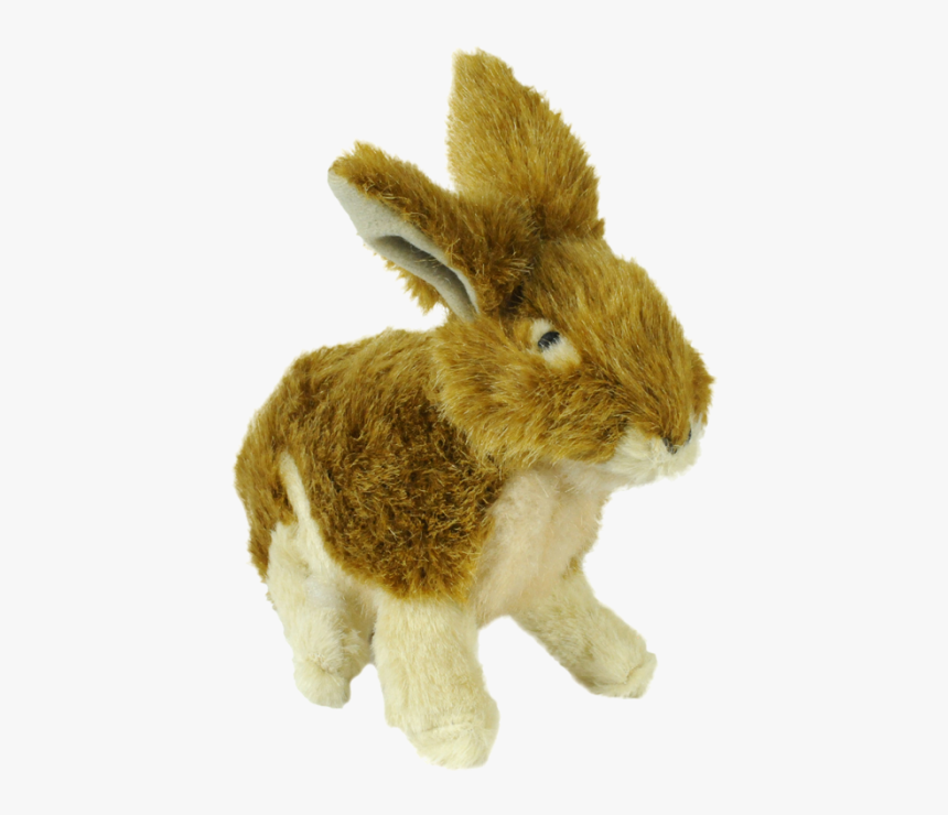 Domestic Rabbit, HD Png Download