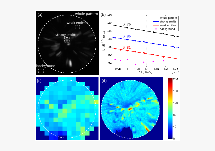 Circle, HD Png Download