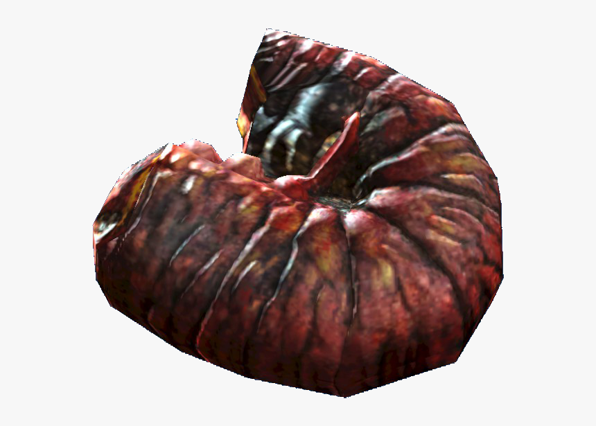 Nukapedia The Vault - Macro Photography, HD Png Download