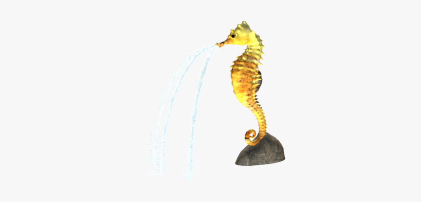 Northern Seahorse, HD Png Download