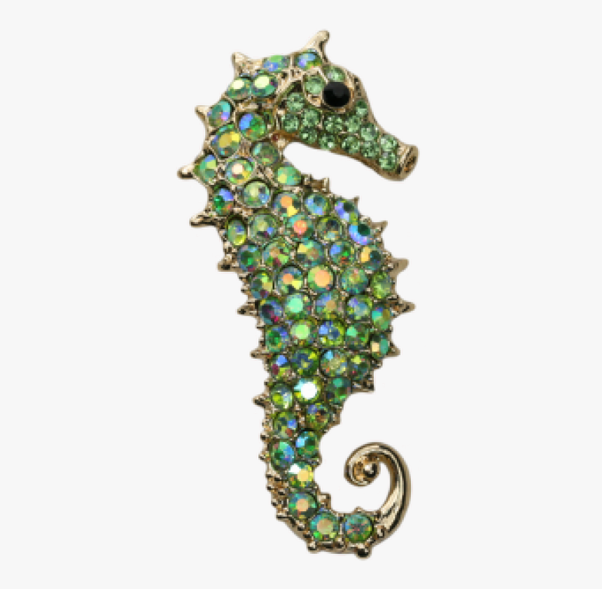 Northern Seahorse, HD Png Download