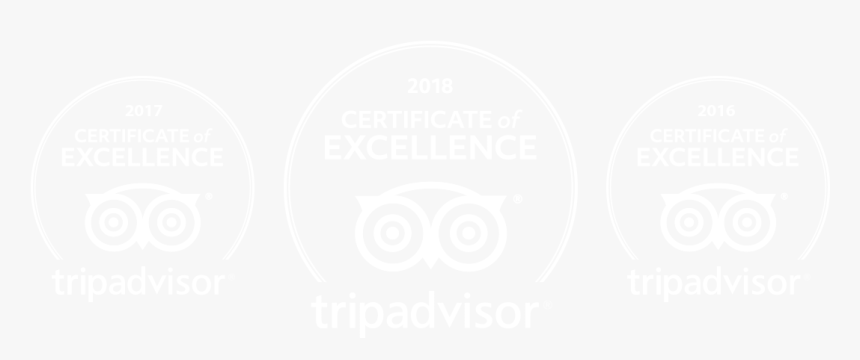 Trip Advisor Certificate Of Excellence White Png - Circle, Transparent Png