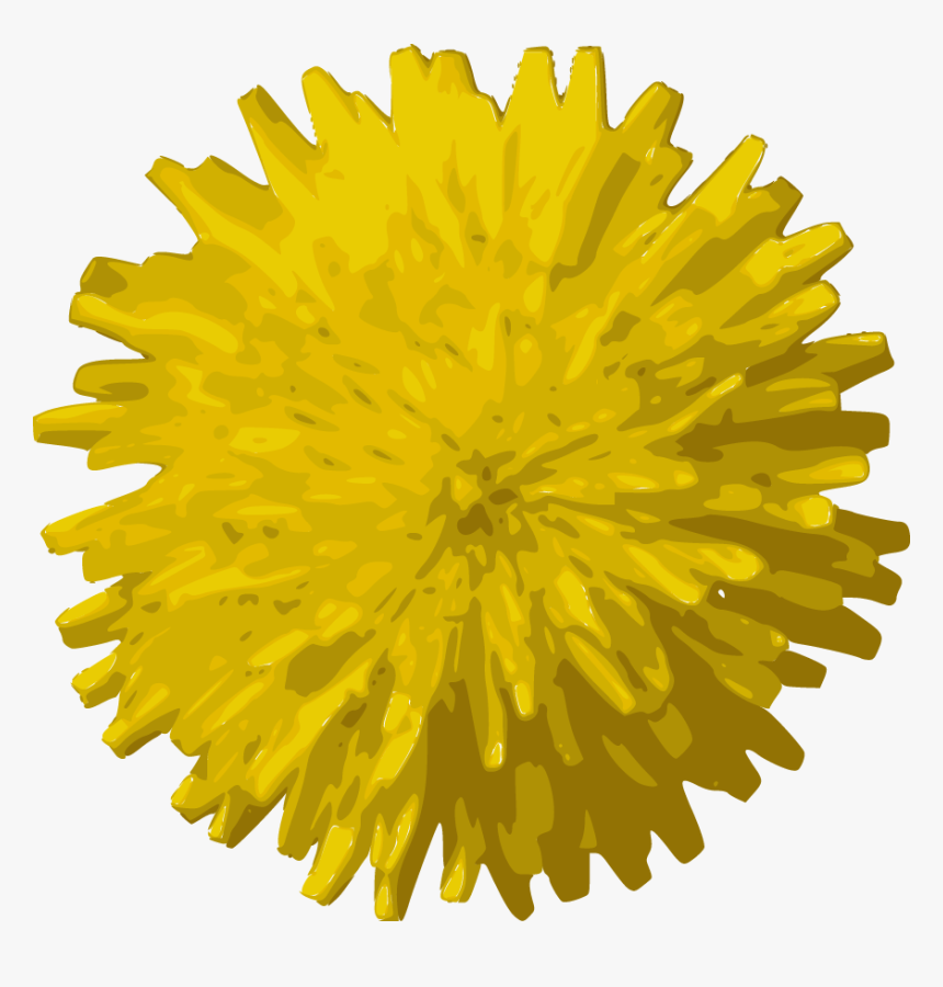 Transparent Dandelion Vector Png - Flowers, Png Download