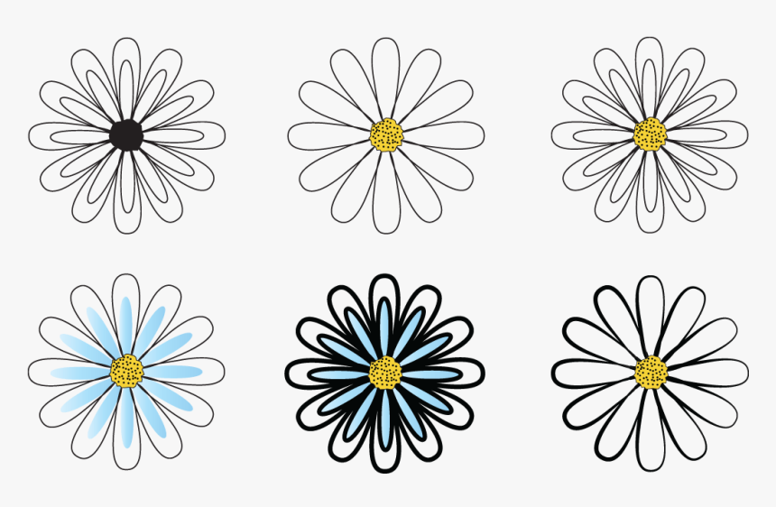 African Daisy, HD Png Download
