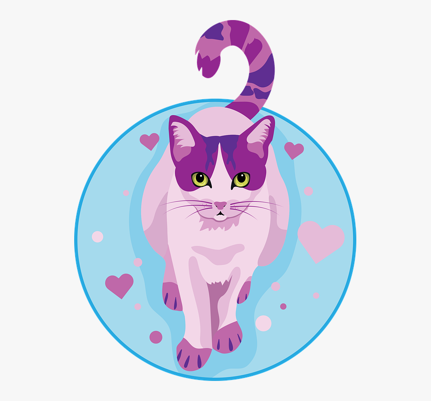 Cat, Kitty, Meow, Pink Kitten - Kitten, HD Png Download
