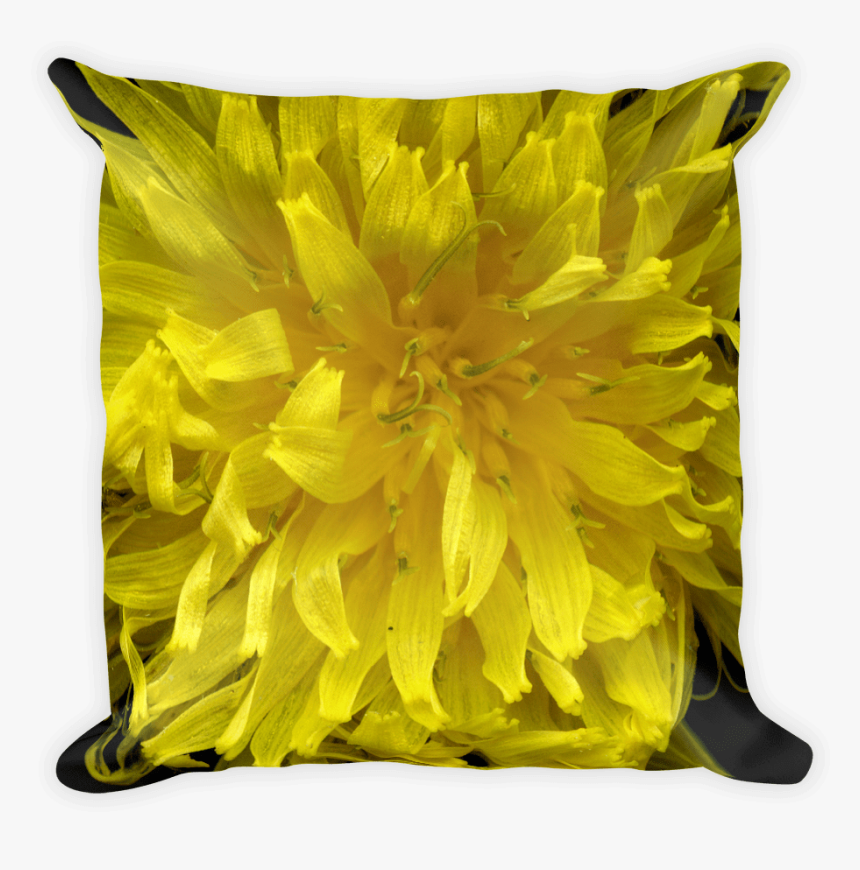 Sunflower , Png Download - Dandelion, Transparent Png