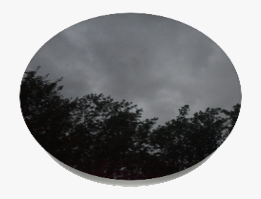 Dark Night, Popsockets - Christmas Tree, HD Png Download