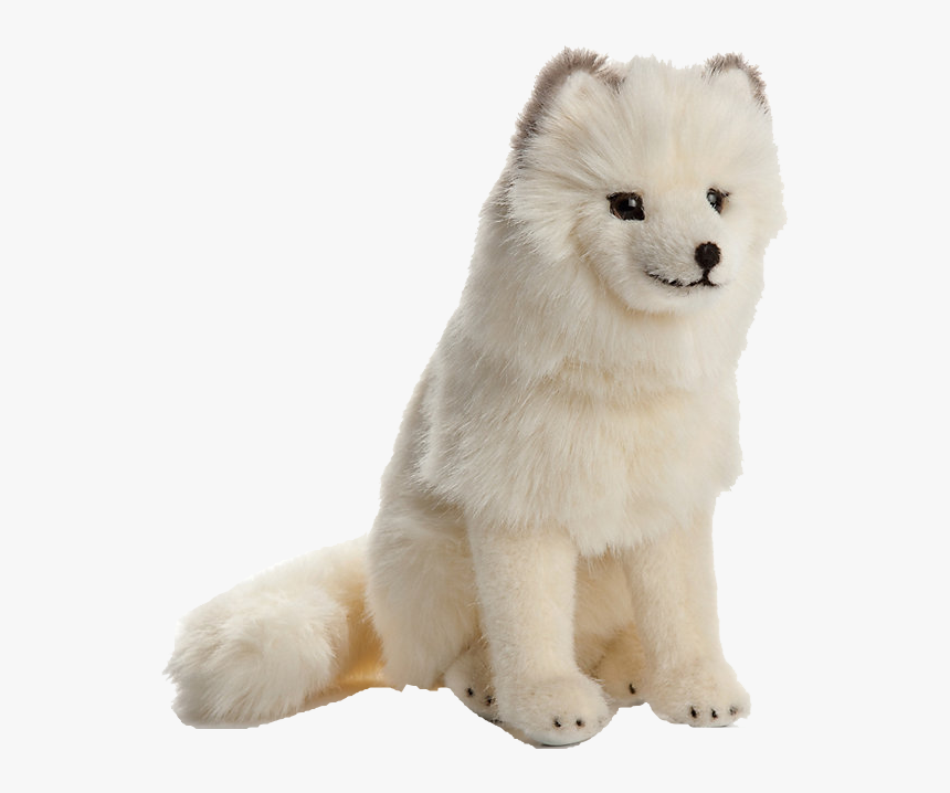 Arctic Fox Png Free Images, Transparent Png