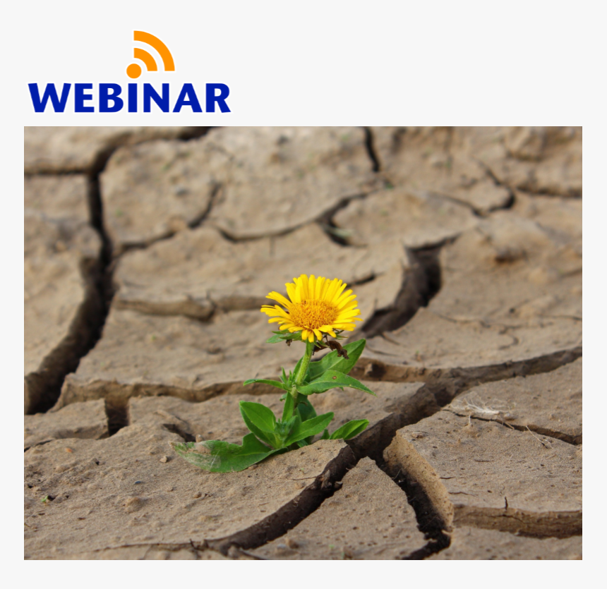 Joy Of Life Pic - Extraordinary Person, HD Png Download