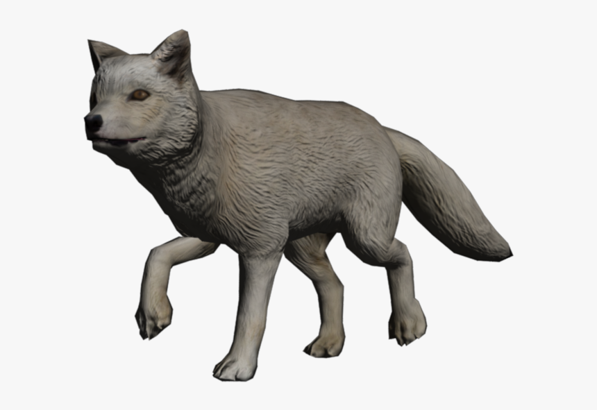 Portrait Fox Arctic Fox - Swift Fox, HD Png Download
