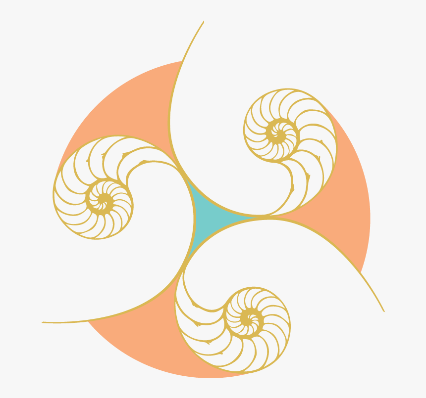 Chambered Nautilus, HD Png Download