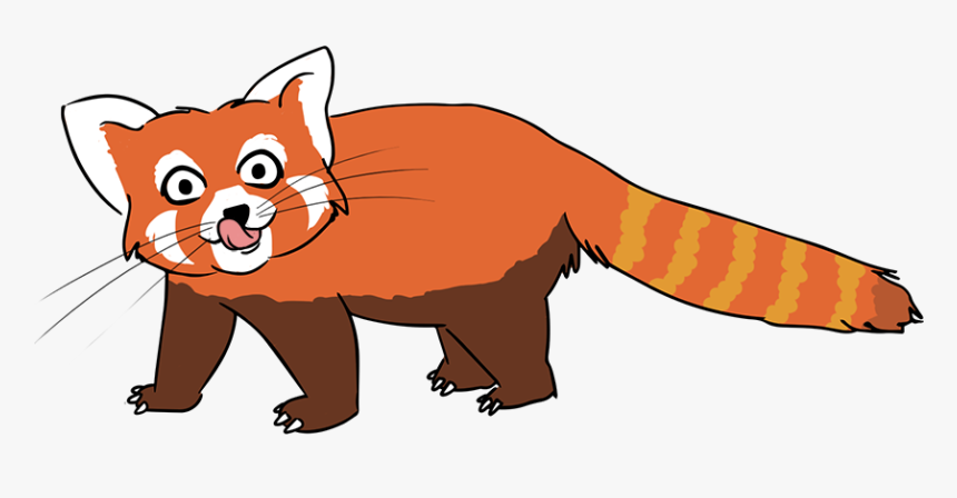 Baby Raccoon Images Free Download Clipart - Red Panda Clipart, HD Png Download