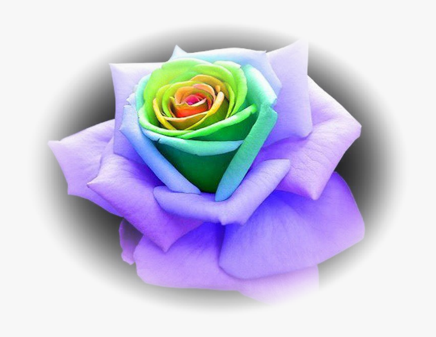 Transparent Rainbow Flower Crown Png - Green And Purple Rose, Png Download