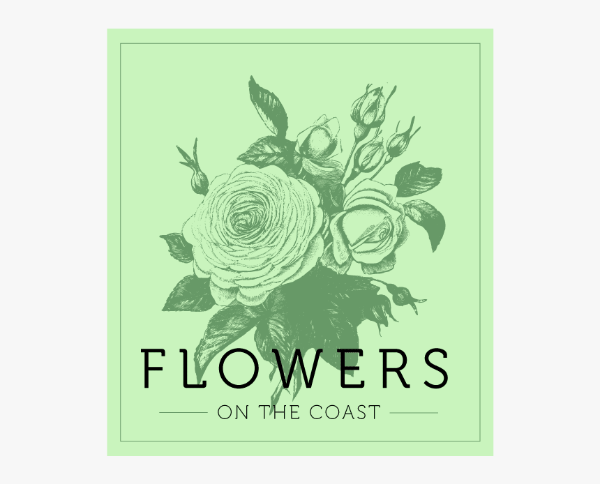 Flowers On The Coast - Rose, HD Png Download