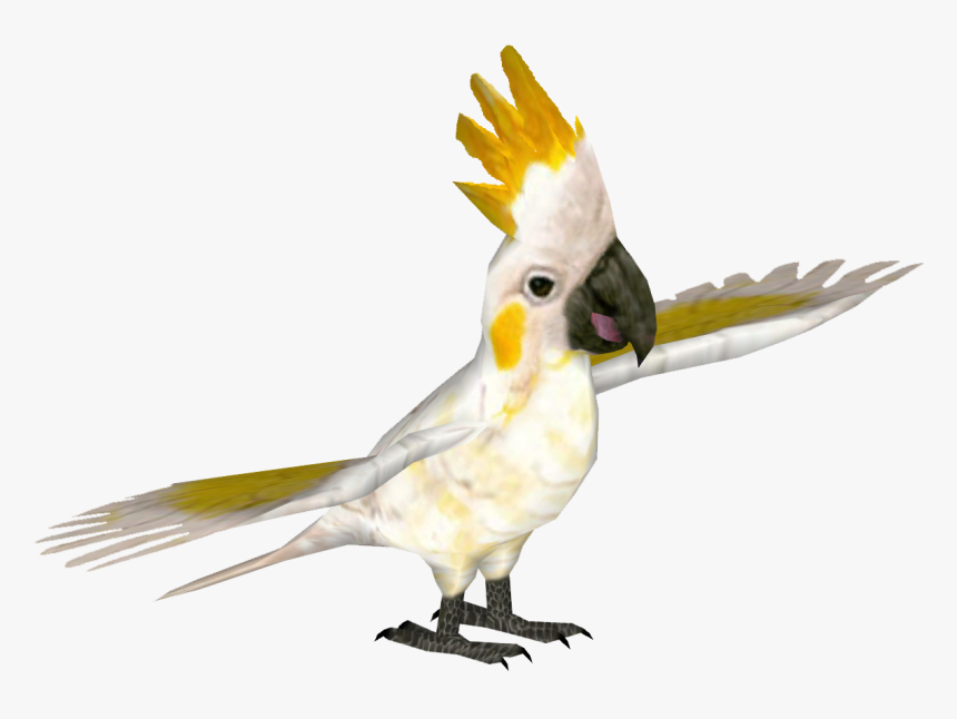 Transparent Cockatoo Png - Zoo Tycoon 2 Cacatua, Png Download