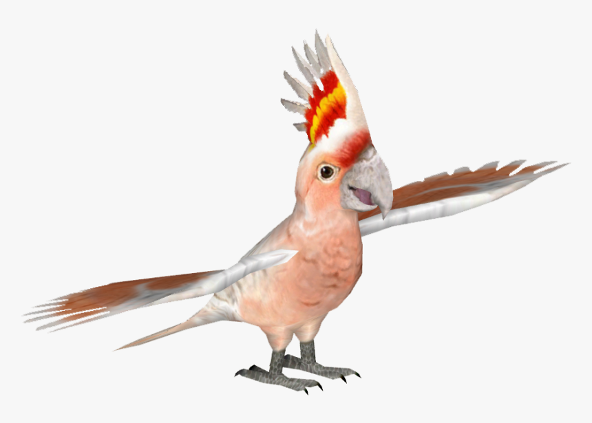 Cockatoomajormichels Tamara Henson - Macaw, HD Png Download