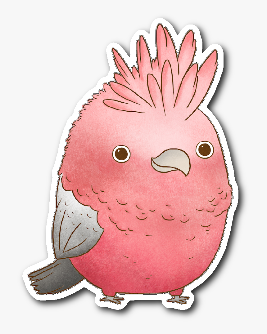 Galah Cartoon, HD Png Download