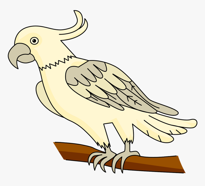 Sulphur-crested Cockatoo, HD Png Download